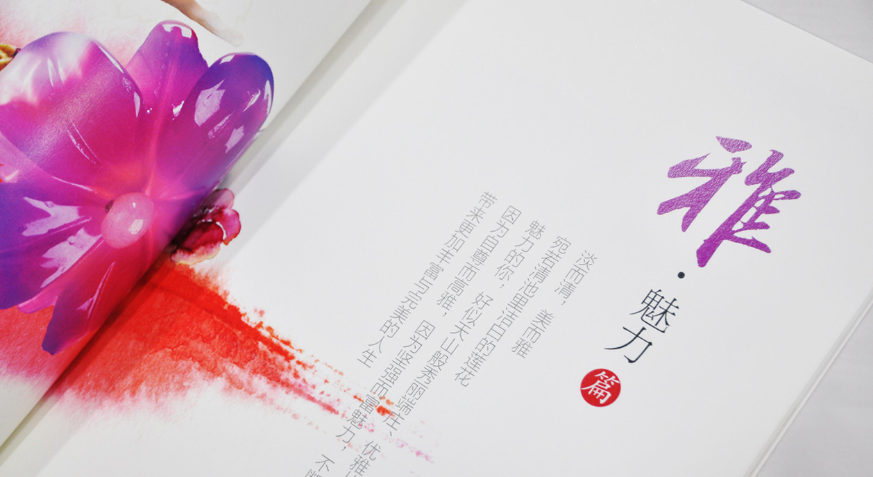 水利部企业形象宣传画册设计